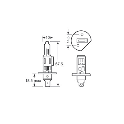 H1 Bulb